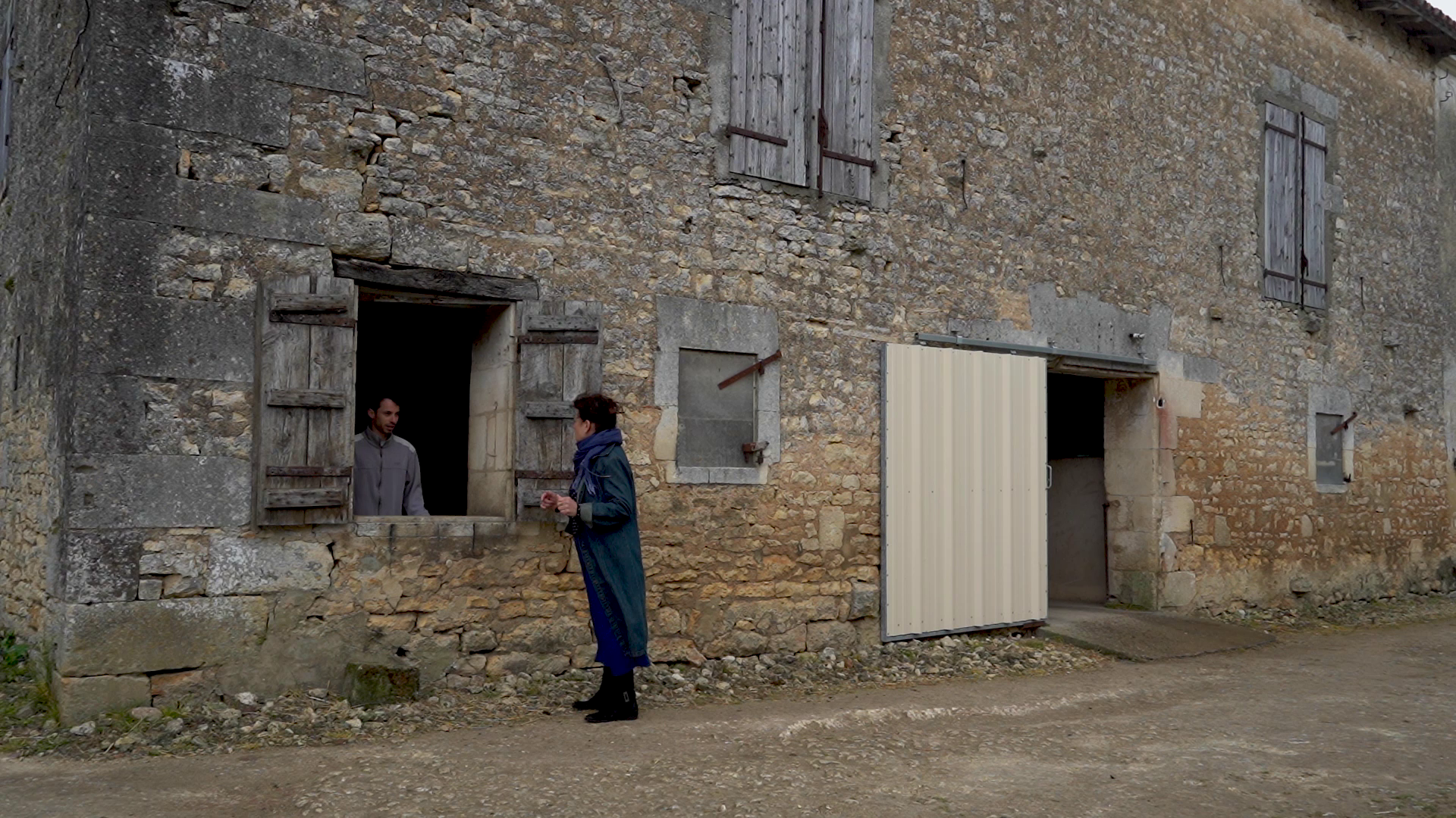 Still 2