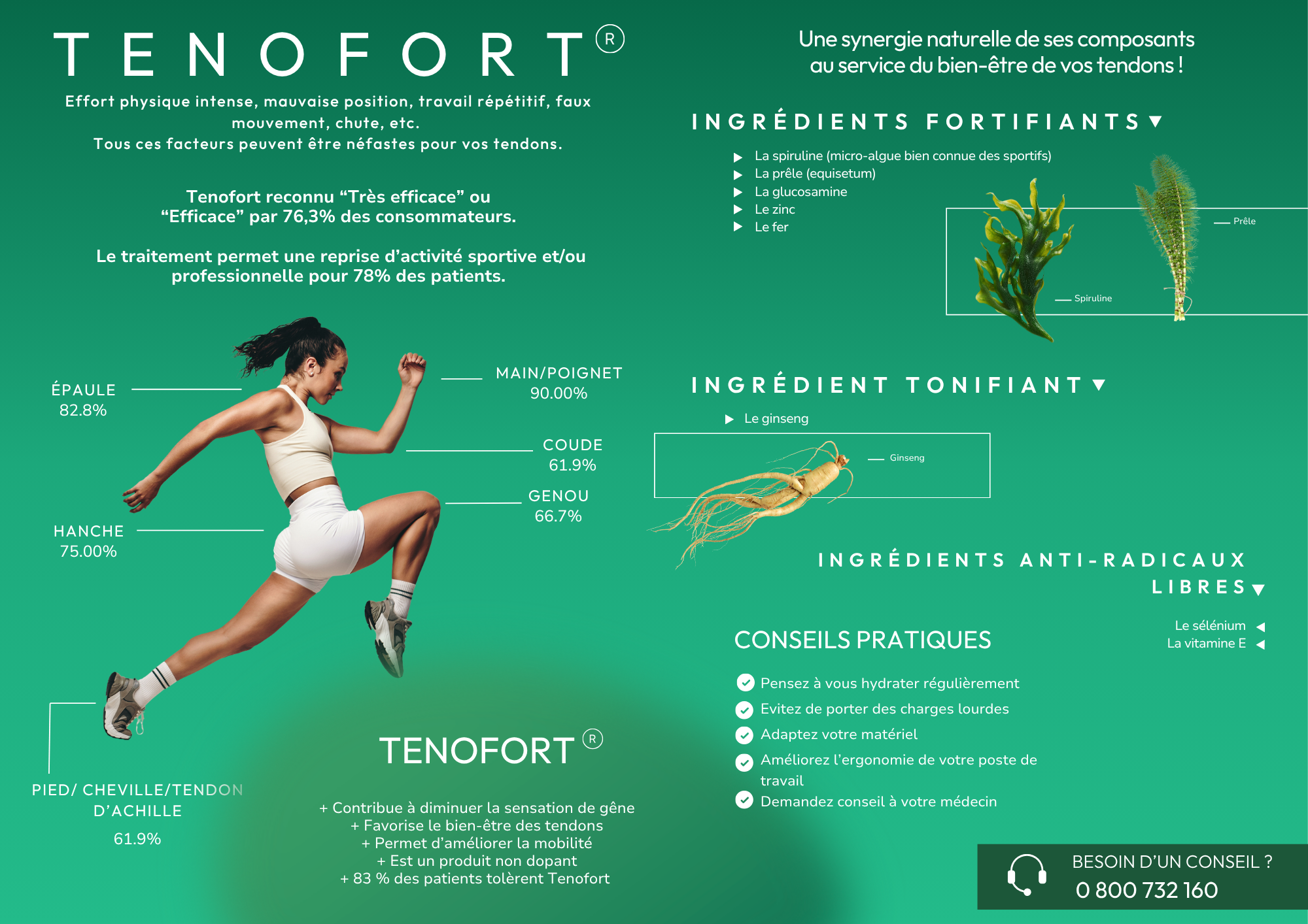 Flyer Tenofort &mdash; Verso