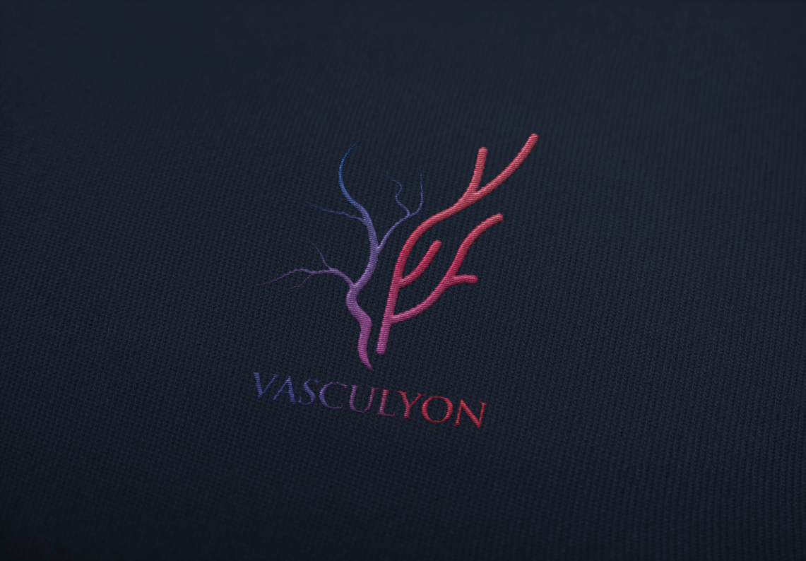 Blouse brodée Vasculyon